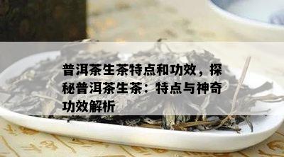 普洱茶生茶特点和功效，探秘普洱茶生茶：特点与神奇功效解析