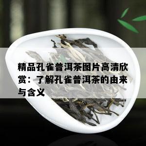 精品孔雀普洱茶图片高清欣赏：了解孔雀普洱茶的由来与含义