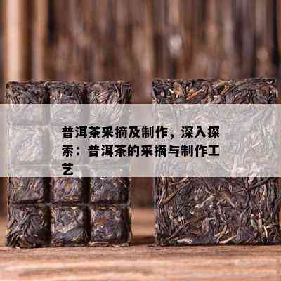 普洱茶采摘及制作，深入探索：普洱茶的采摘与制作工艺