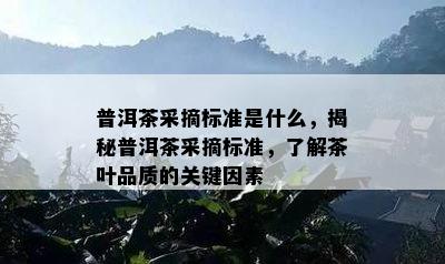 普洱茶采摘标准是什么，揭秘普洱茶采摘标准，了解茶叶品质的关键因素