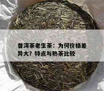 普洱茶老生茶：为何价格差异大？特点与熟茶比较