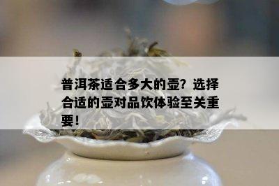 普洱茶适合多大的壶？选择合适的壶对品饮体验至关重要！