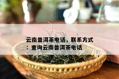 云南普洱茶电话，联系方式：查询云南普洱茶电话