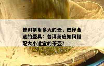 普洱茶用多大的壶，选择合适的壶具：普洱茶应如何搭配大小适宜的茶壶？