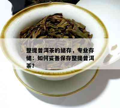 整提普洱茶的储存，专业存储：如何妥善保存整提普洱茶？