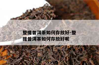 整提普洱茶如何存放好-整提普洱茶如何存放好呢