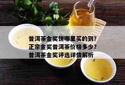 普洱茶金奖饼哪里买的到？正宗金奖普洱茶价格多少？普洱茶金奖评选详情解析