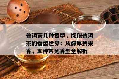 普洱茶几种香型，探秘普洱茶的香型世界：从醇厚到果香，五种常见香型全解析