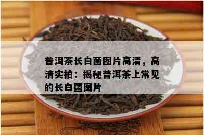 普洱茶长白菌图片高清，高清实拍：揭秘普洱茶上常见的长白菌图片