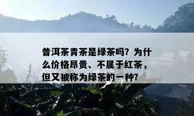 普洱茶青茶是绿茶吗？为什么价格昂贵、不属于红茶，但又被称为绿茶的一种？