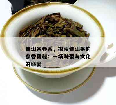 普洱茶参香，探索普洱茶的参香奥秘：一场味蕾与文化的盛宴