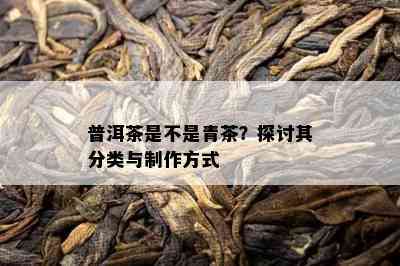 普洱茶是不是青茶？探讨其分类与制作方式