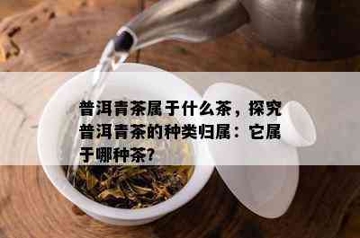 普洱青茶属于什么茶，探究普洱青茶的种类归属：它属于哪种茶？