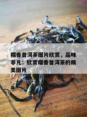 糯香普洱茶图片欣赏，品味非凡：欣赏糯香普洱茶的精美图片