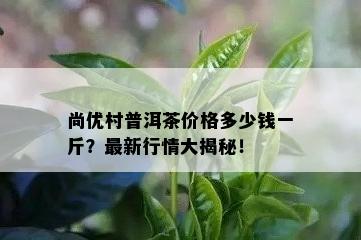 尚优村普洱茶价格多少钱一斤？最新行情大揭秘！