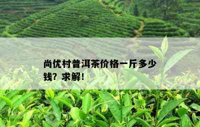 尚优村普洱茶价格一斤多少钱？求解！