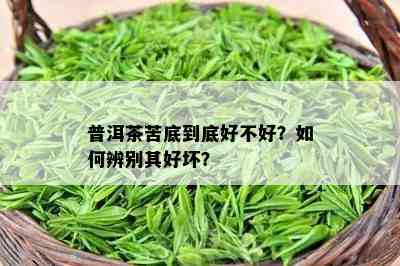 普洱茶苦底到底好不好？如何辨别其好坏？