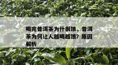 喝完普洱茶为什很饿，普洱茶为何让人越喝越饿？原因解析