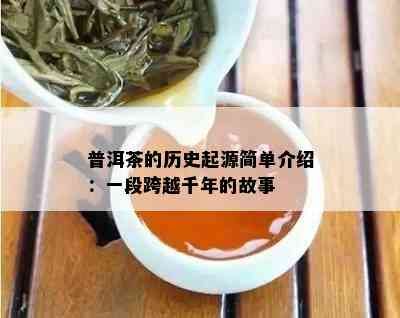 普洱茶的历史起源简单介绍：一段跨越千年的故事