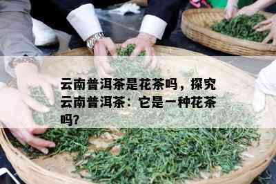 云南普洱茶是花茶吗，探究云南普洱茶：它是一种花茶吗？