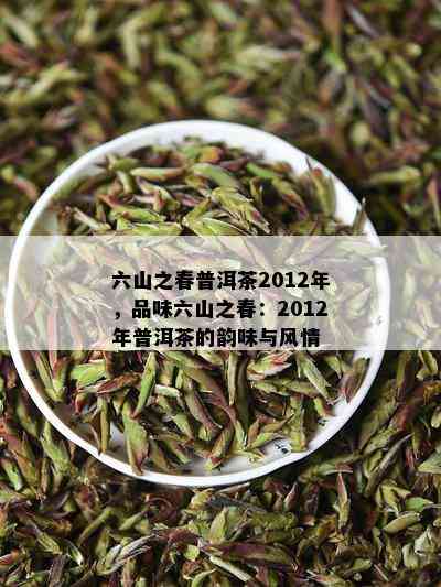 六山之春普洱茶2012年，品味六山之春：2012年普洱茶的韵味与风情