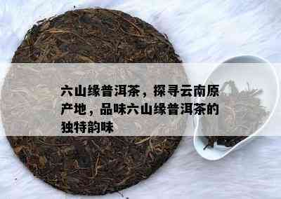 六山缘普洱茶，探寻云南原产地，品味六山缘普洱茶的独特韵味