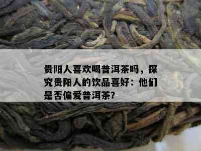 贵阳人喜欢喝普洱茶吗，探究贵阳人的饮品喜好：他们是否偏爱普洱茶？