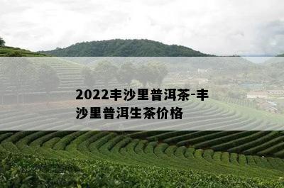 2022丰沙里普洱茶-丰沙里普洱生茶价格