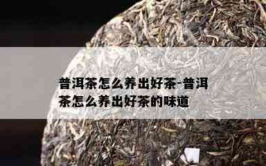 普洱茶怎么养出好茶-普洱茶怎么养出好茶的味道