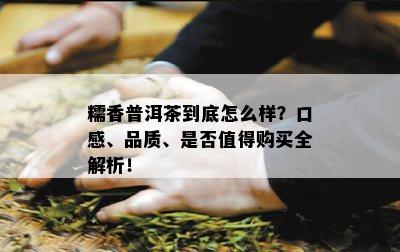 糯香普洱茶到底怎么样？口感、品质、是否值得购买全解析！