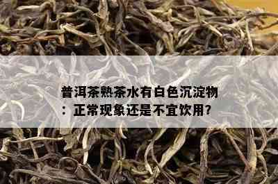 普洱茶熟茶水有白色沉淀物：正常现象还是不宜饮用？