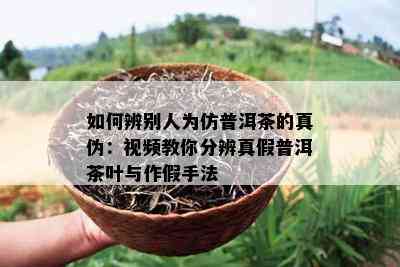 如何辨别人为仿普洱茶的真伪：视频教你分辨真假普洱茶叶与作假手法