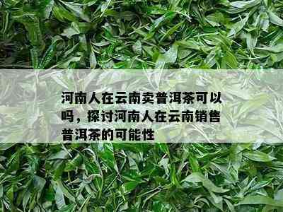 河南人在云南卖普洱茶可以吗，探讨河南人在云南销售普洱茶的可能性