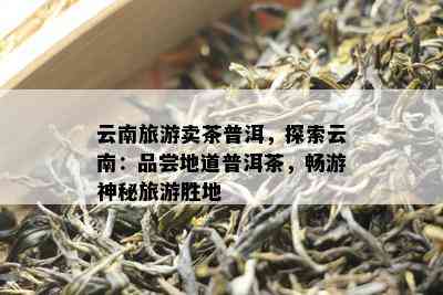 云南旅游卖茶普洱，探索云南：品尝地道普洱茶，畅游神秘旅游胜地