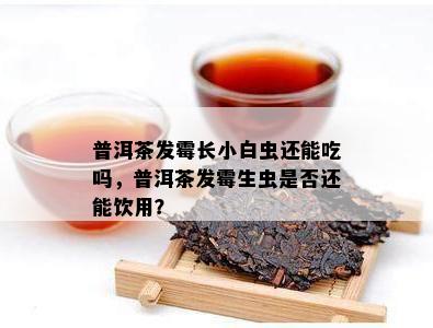 普洱茶发霉长小白虫还能吃吗，普洱茶发霉生虫是否还能饮用？