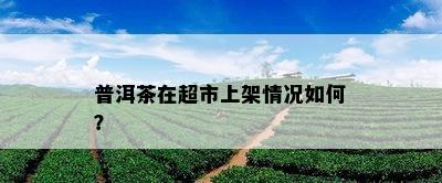 普洱茶在超市上架情况如何？