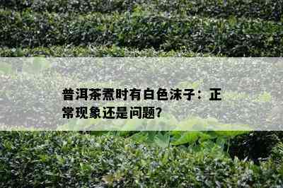 普洱茶煮时有白色沫子：正常现象还是问题？