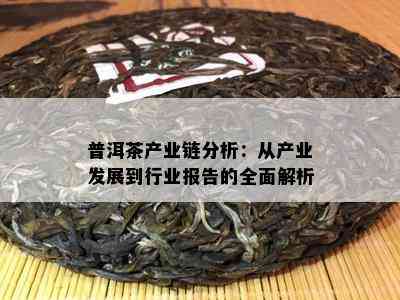 普洱茶产业链分析：从产业发展到行业报告的全面解析