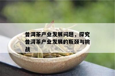 普洱茶产业发展问题，探究普洱茶产业发展的瓶颈与挑战