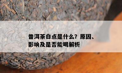 普洱茶白点是什么？原因、影响及是否能喝解析