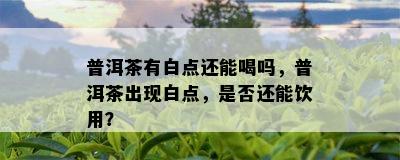 普洱茶有白点还能喝吗，普洱茶出现白点，是否还能饮用？