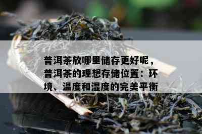 普洱茶放哪里储存更好呢，普洱茶的理想存储位置：环境、温度和湿度的完美平衡