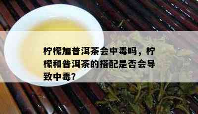 柠檬加普洱茶会中吗，柠檬和普洱茶的搭配是否会导致中？