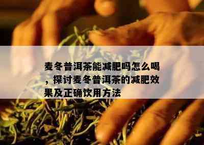 麦冬普洱茶能减肥吗怎么喝，探讨麦冬普洱茶的减肥效果及正确饮用方法