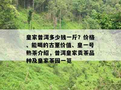 皇家普洱多少钱一斤？价格、能喝的古董价值、皇一号熟茶介绍，普洱皇家贡茶品种及皇家茶园一览