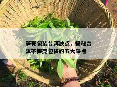 笋壳包装普洱缺点，揭秘普洱茶笋壳包装的五大缺点