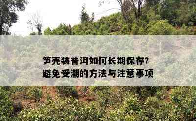 笋壳装普洱如何长期保存？避免受潮的方法与注意事项