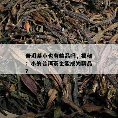 普洱茶小也有精品吗，揭秘：小的普洱茶也能成为精品？