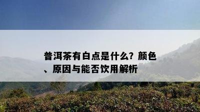 普洱茶有白点是什么？颜色、原因与能否饮用解析