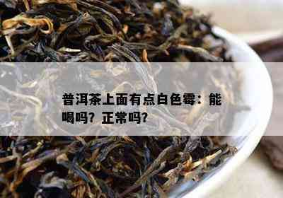 普洱茶上面有点白色霉：能喝吗？正常吗？